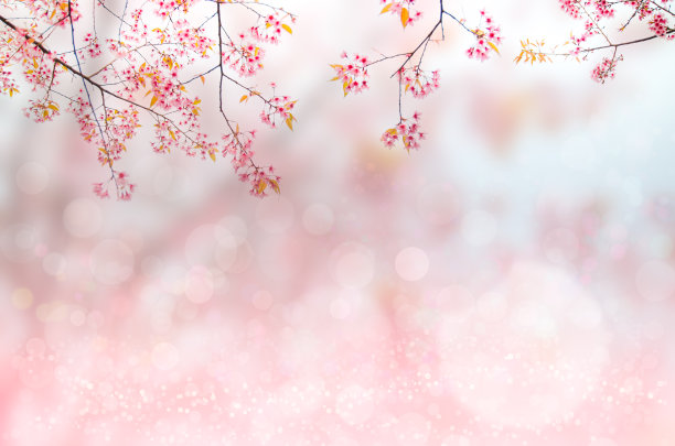 自然背景图片下载