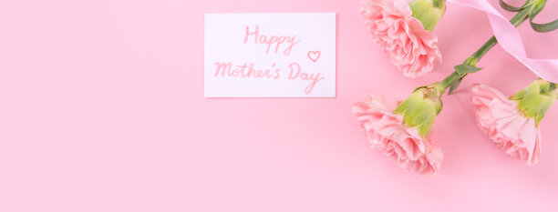 母亲节的设计概念-粉红色康乃馨在浅粉色的背景上，感谢贺卡和文字。图片下载