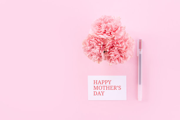 母亲节的设计概念-粉红色康乃馨在浅粉色的背景上，感谢贺卡和文字。图片下载