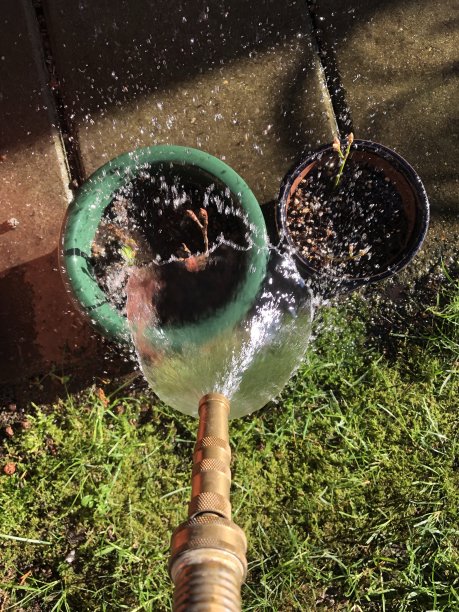 浇花图片下载
