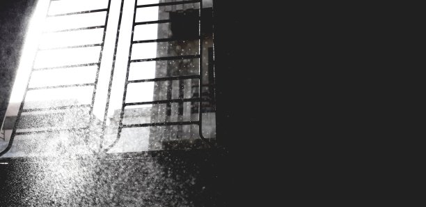 检疫是必须的。图片下载