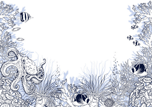 珊瑚礁风景与水下生物和热带鱼。图片下载