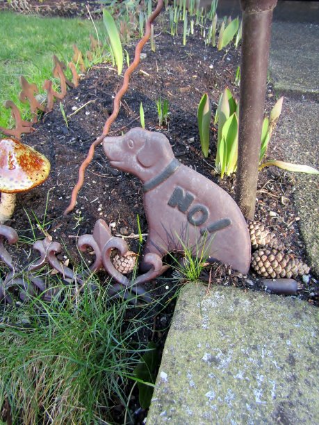 不要在花园里拉屎图片下载