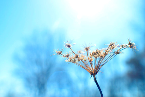 蓝色的天空图片下载