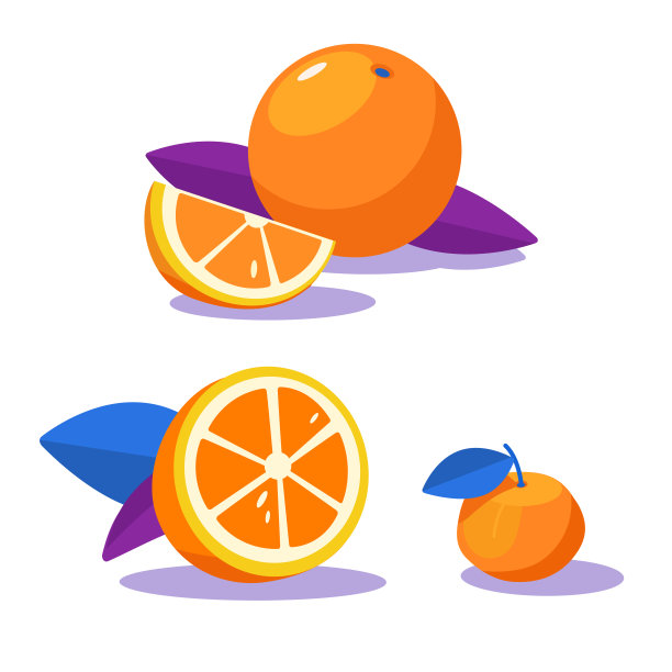 一组新鲜的柑橘。橙子和带叶子的柑橘。一半橙子，切碎的橙子。片。设计的元素。图片下载