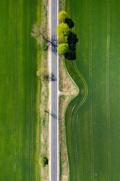 空中公路旅行-森林与弯曲的道路图片下载