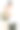 车钥匙保持微笑的年轻夫妇在演播室背景图片下载