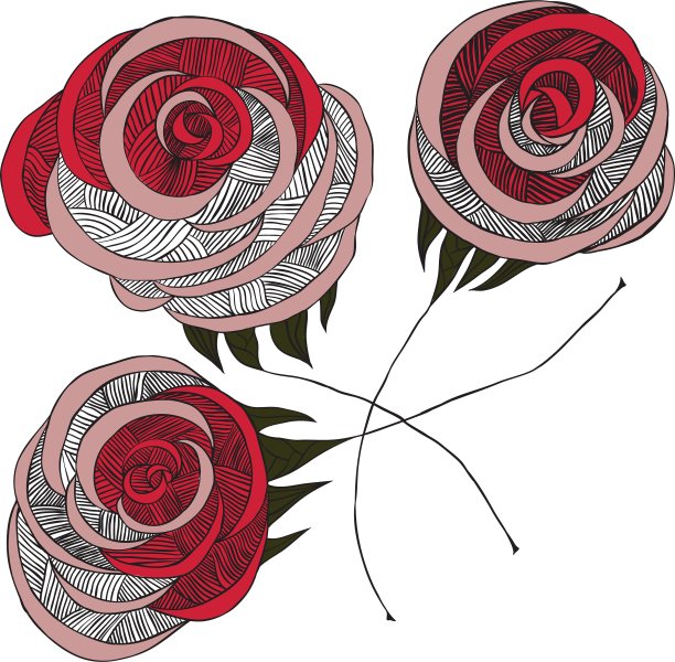 玫瑰黑白相框图片下载