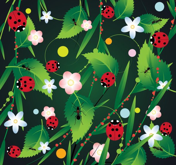 有益的昆虫图片下载