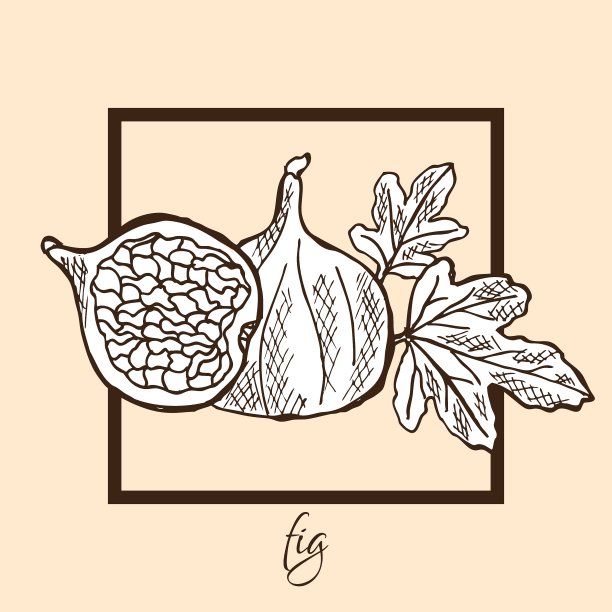 手绘图图片下载