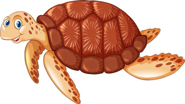 棕色的乌龟带着快乐的脸图片下载