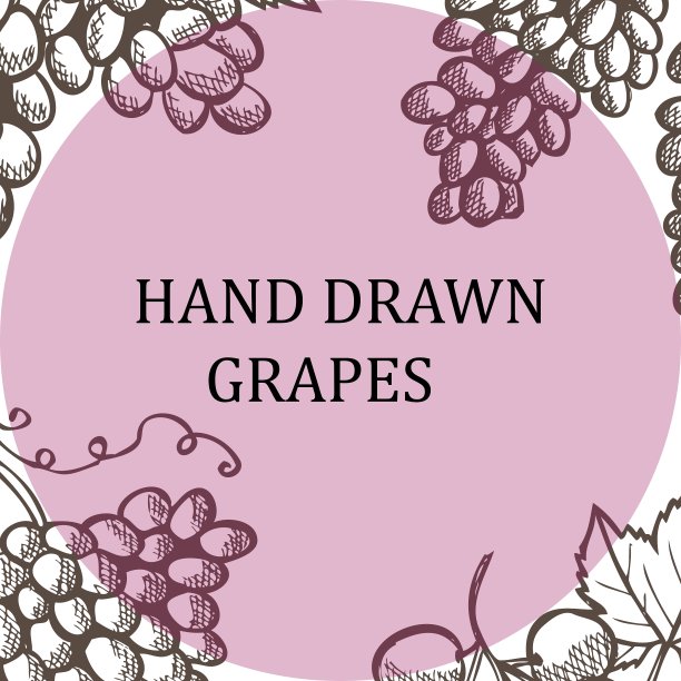 手绘葡萄图片下载