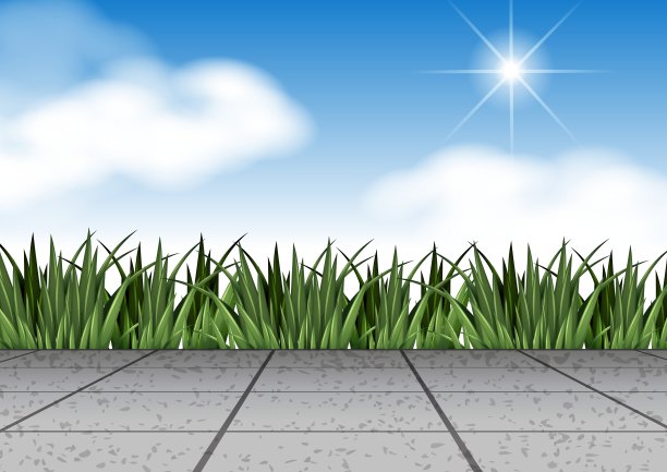 草地和地板的场景图片下载