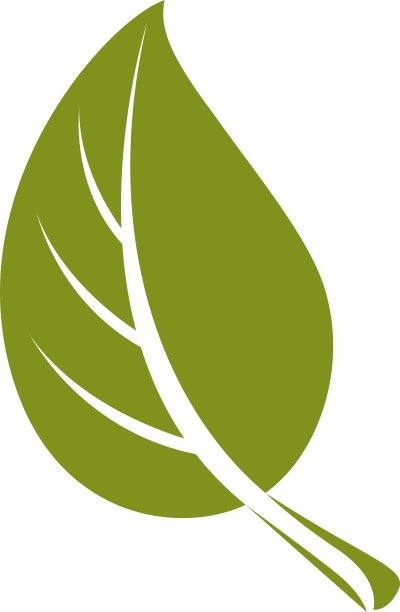 简单的平坦的绿色落叶乔木叶子图片下载