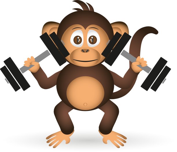 可爱的黑猩猩在健身房用哑铃运动小图片下载