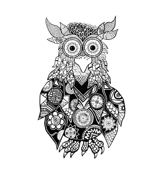 猫头鹰图片下载