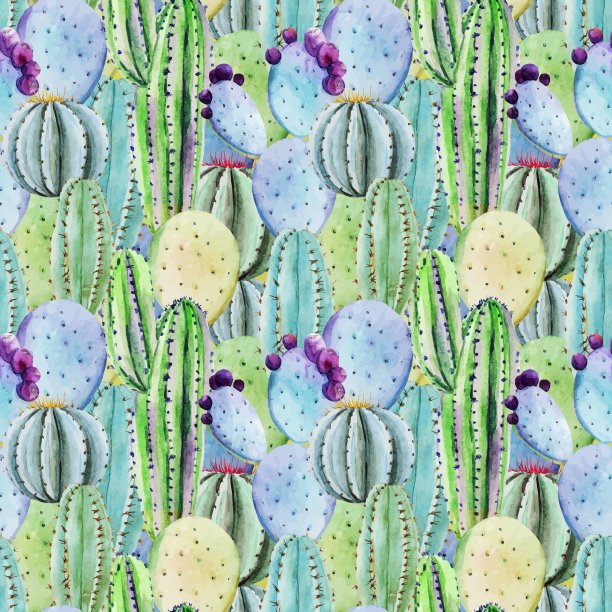 仙人掌无缝模式图片下载