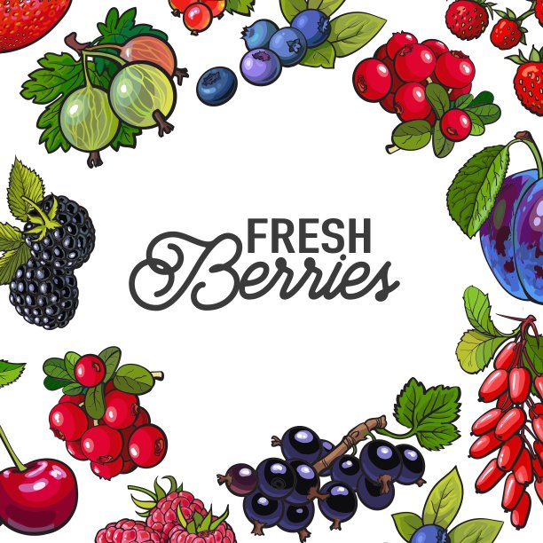 框架花园浆果与圆形的地方为文本图片下载