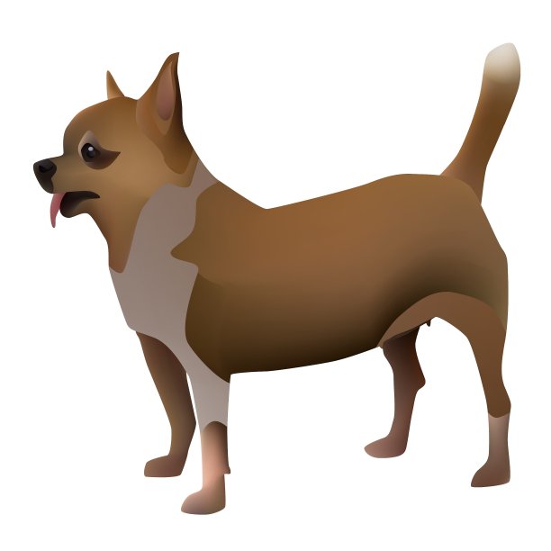 吉娃娃狗2014 11 27 04225图片下载