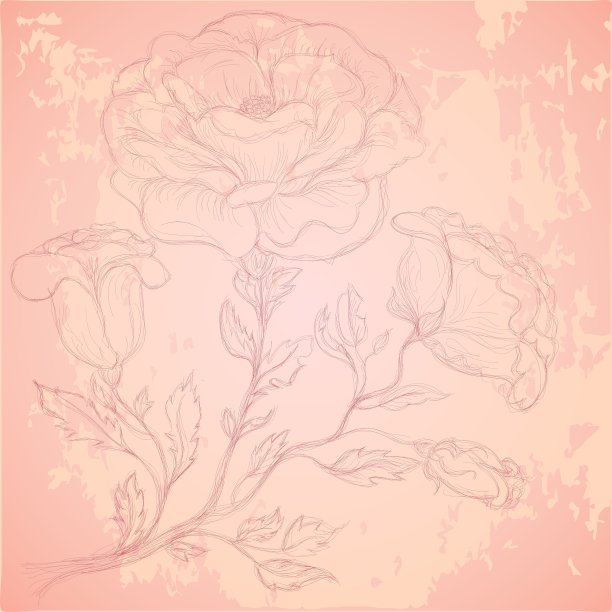 粗糙纹理上的玫瑰枝素描图片下载