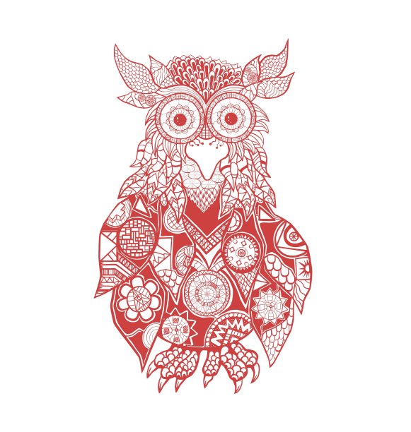 猫头鹰图片下载