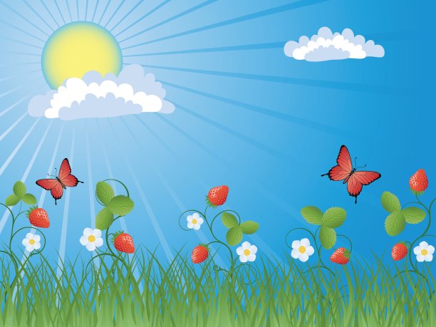 夏天的背景图片下载