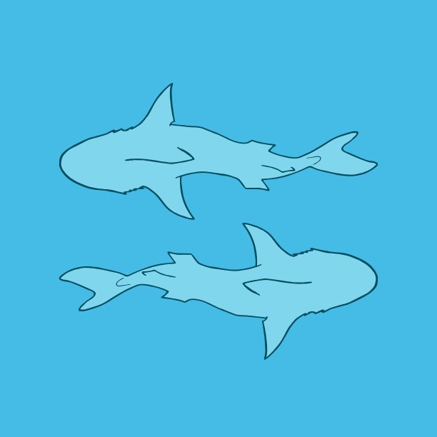 两条鲨鱼的剪影蓝色背景俯视图图片下载