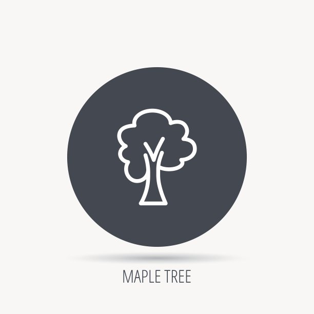 枫树图标森林木标志图片下载