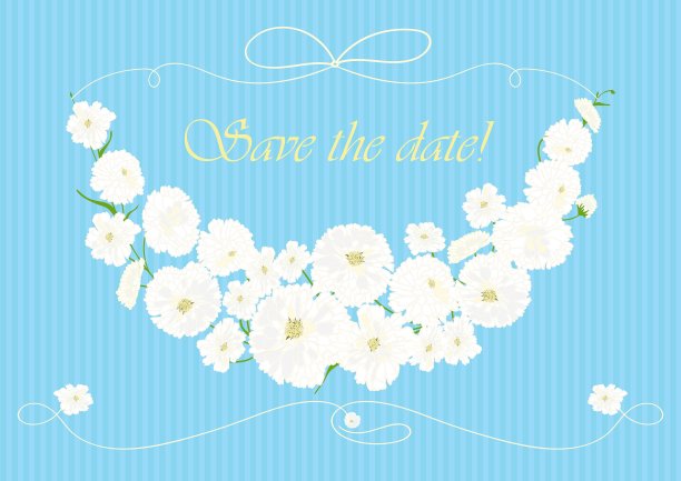 美丽的白花花环图片下载