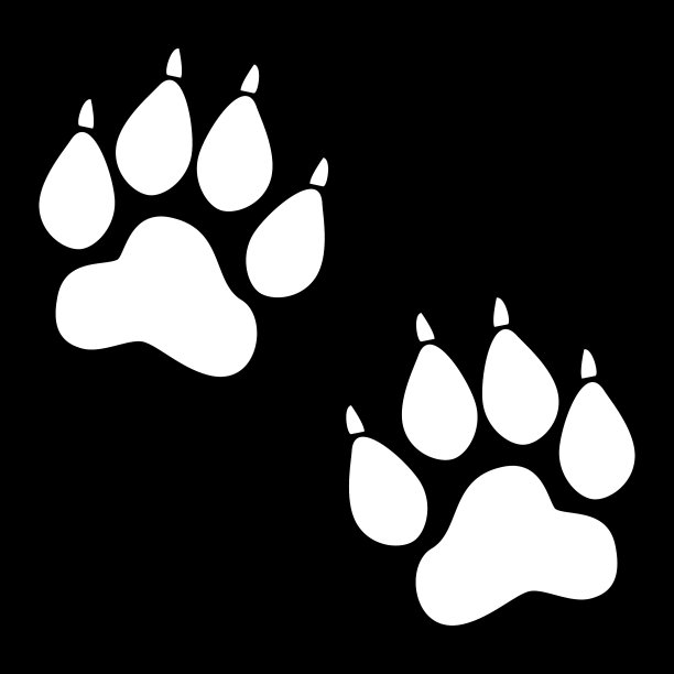 动物的足迹图片下载