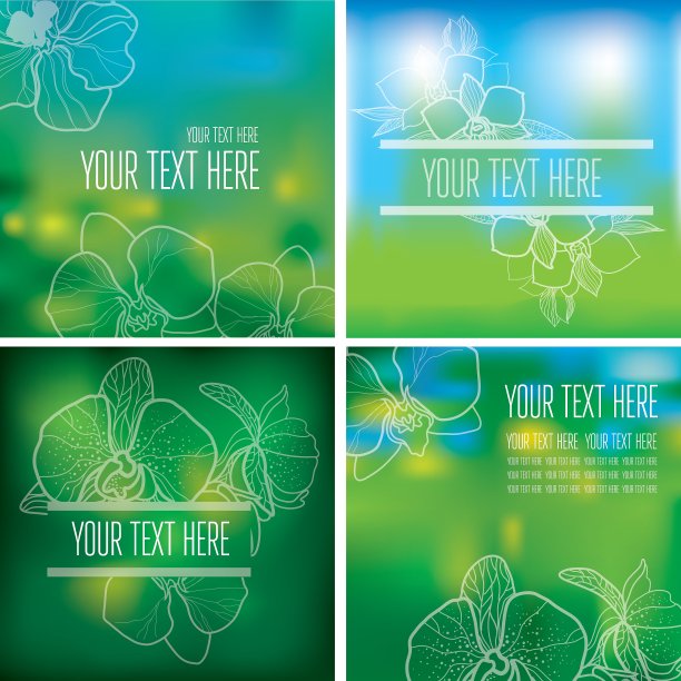 花背部新001图片下载