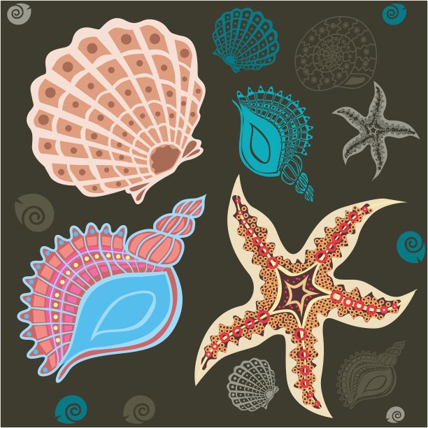 海洋天堂关于我校图片下载