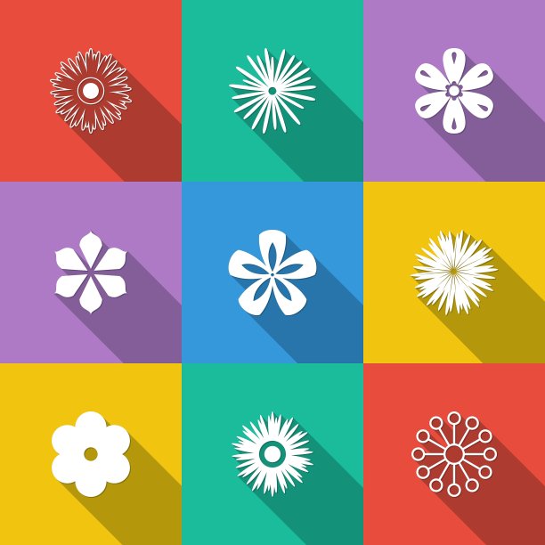 花纽扣套装图片下载