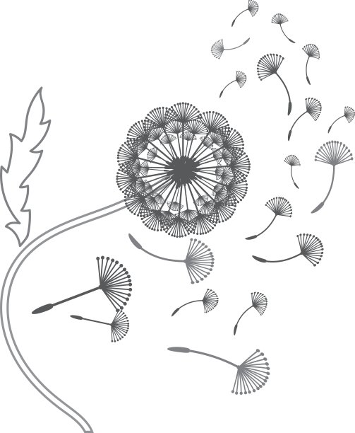 概念蒲公英图片下载