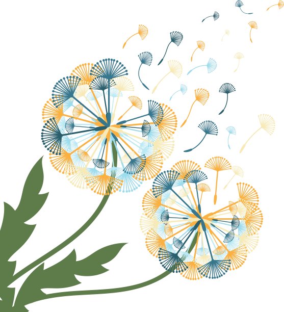 概念蒲公英图片下载