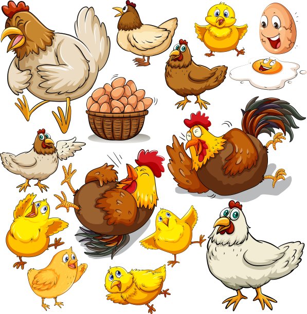 鸡肉和鲜鸡蛋图片下载