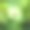 抽象的绿色背景与花蒲公英图片下载