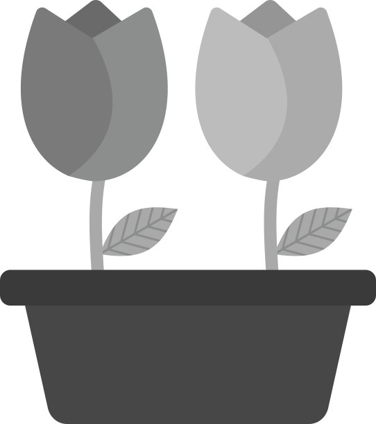 郁金香在锅图片下载