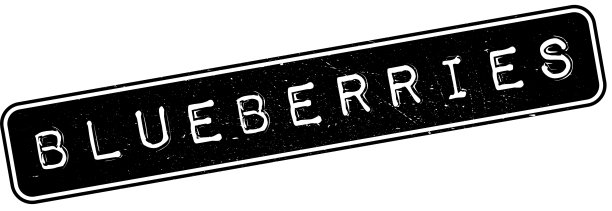 蓝莓橡皮图章图片下载
