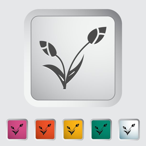 郁金香图片下载