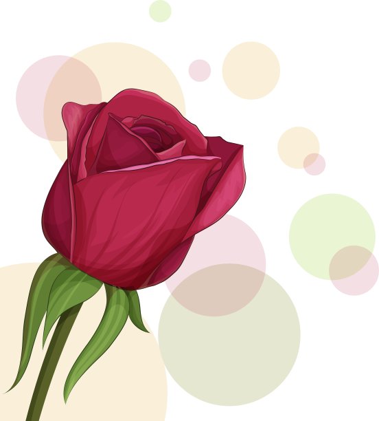 勃艮第的玫瑰图片下载