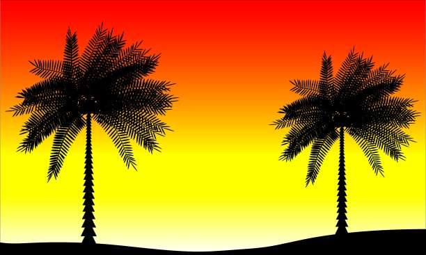 热带日落图片下载