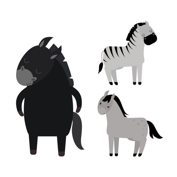 不同的马品种图片下载