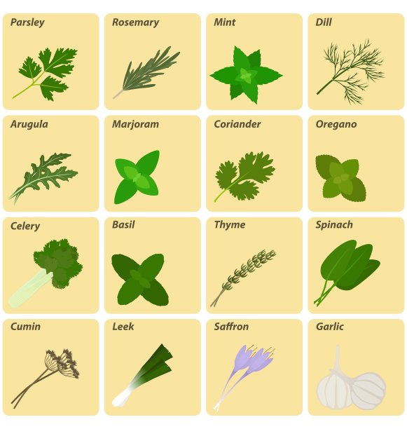 一套药草和香料标签图片下载