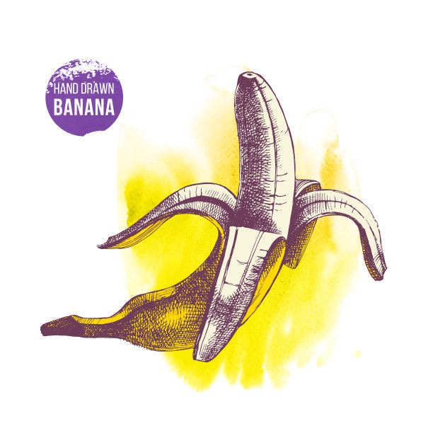 手绘香蕉在水彩黄色背景图片下载