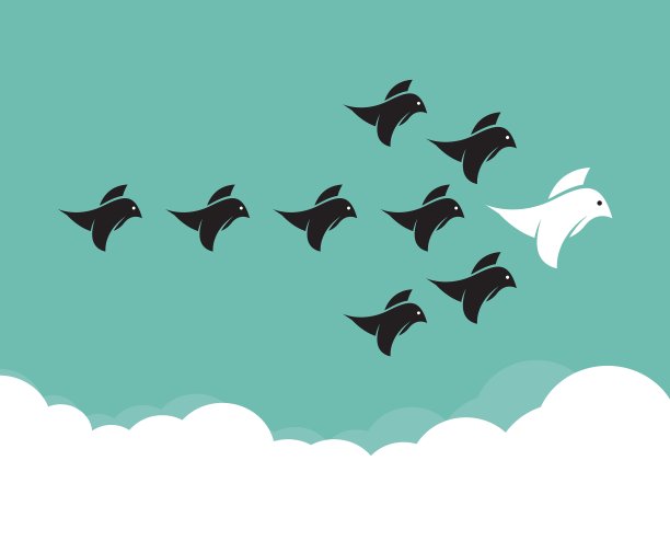 鸟的领导图片下载