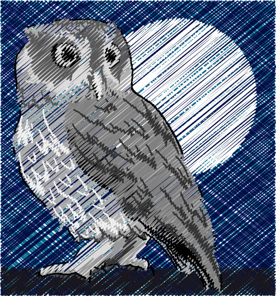 夜猫子图片下载