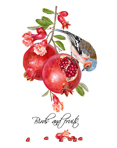 芬奇石榴卡图片下载