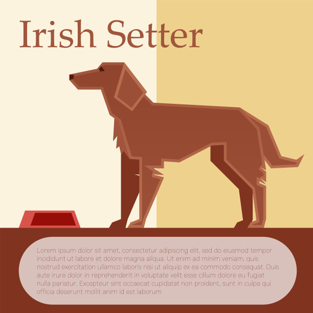 爱尔兰塞特犬彩色明信片图片下载