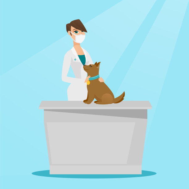 兽医检查狗图片下载